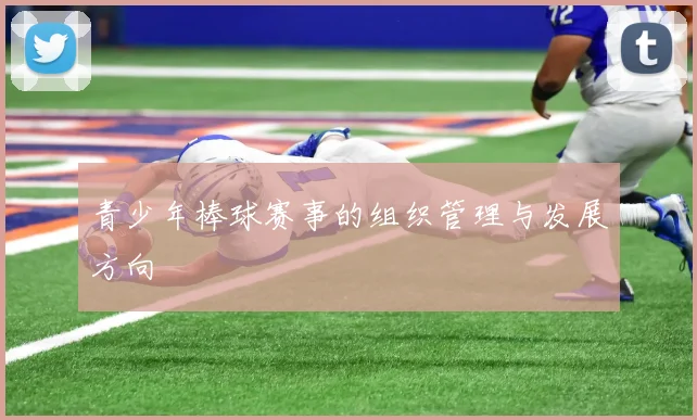 青少年棒球赛事的组织管理与发展方向